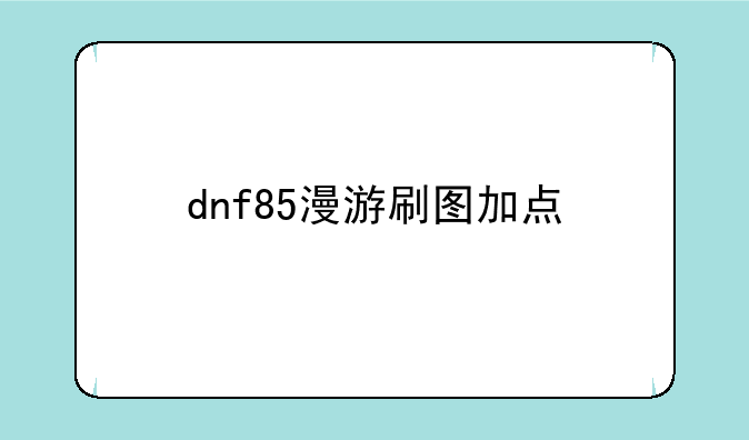 dnf85漫游刷图加点
