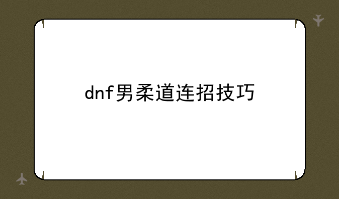 dnf男柔道连招技巧