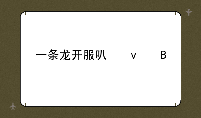 一条龙开服可靠吗