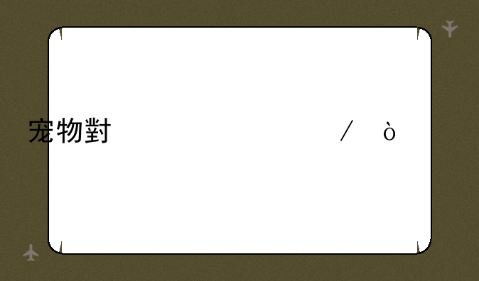 宠物小精灵之传说