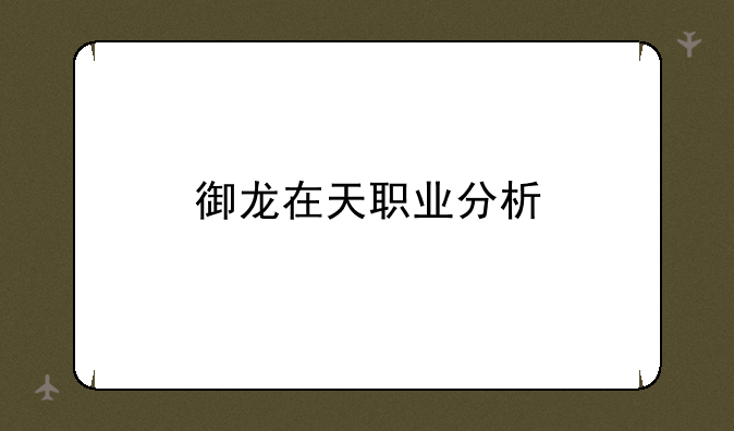 御龙在天职业分析