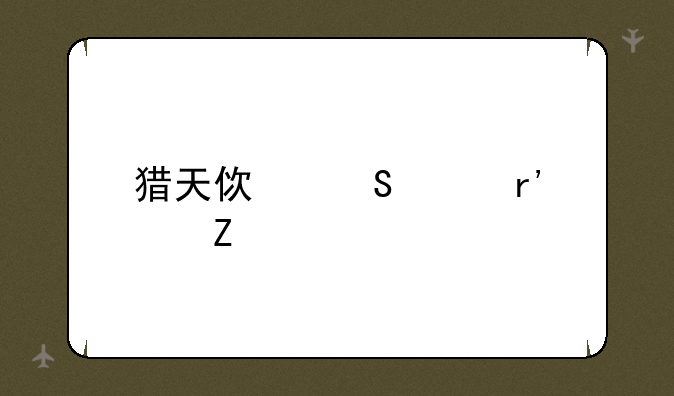猎天使魔女有中文