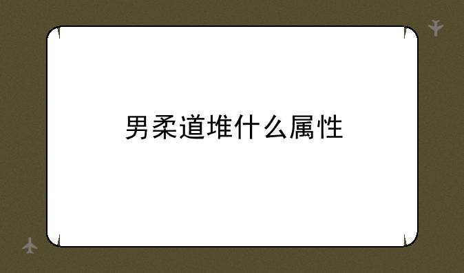 男柔道堆什么属性