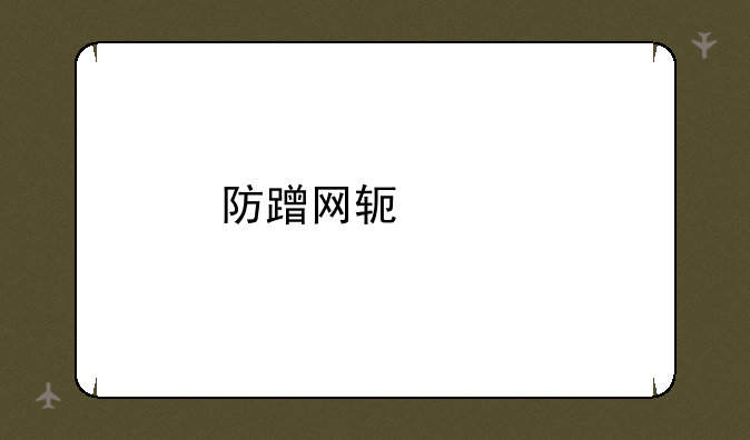 防蹭网软件手机版
