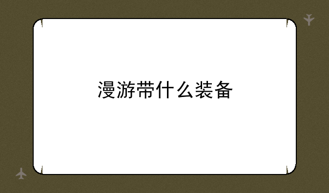 漫游带什么装备