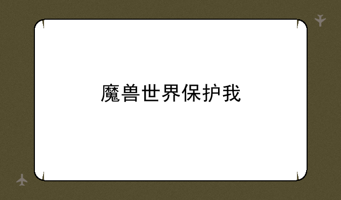 魔兽世界保护我