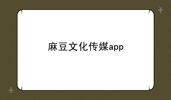 麻豆文化传媒app