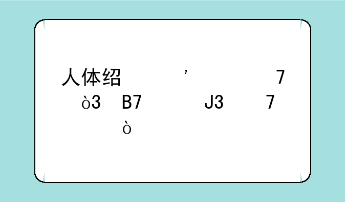 人体经脉穴位，名称和位置？