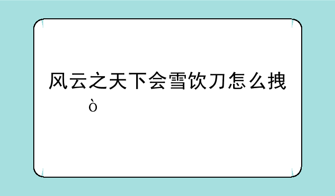 风云之天下会雪饮刀怎么拿？