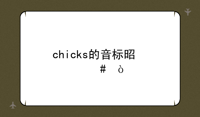 chicks的音标是什么？