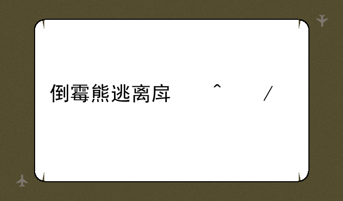 倒霉熊逃离房间下载