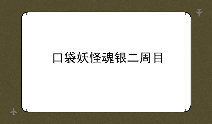 口袋妖怪魂银二周目