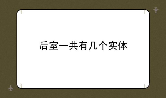 后室一共有几个实体