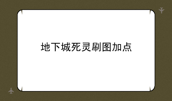 地下城死灵刷图加点
