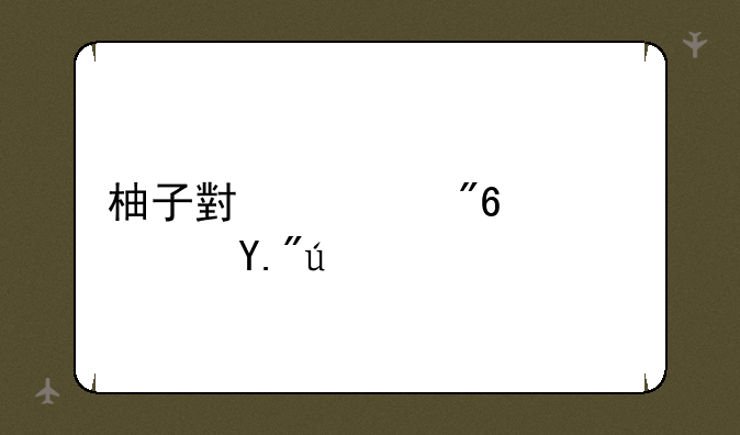 柚子小游戏高速下载