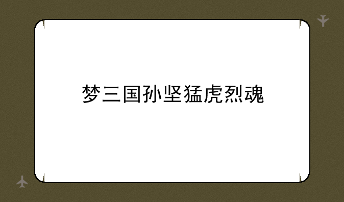 梦三国孙坚猛虎烈魂