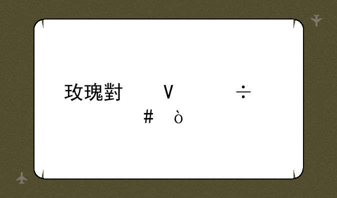 玫瑰小镇都带什么？