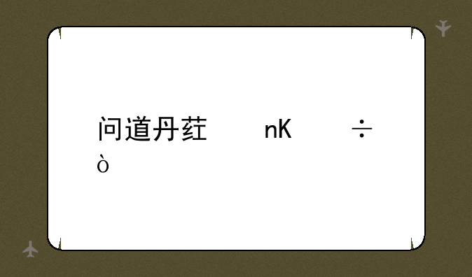 问道丹药盒能开什么