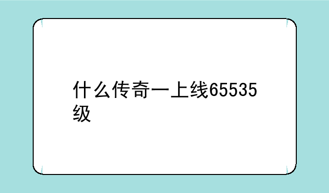 什么传奇一上线65535级