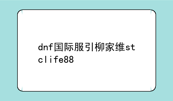 dnf国际服引柳家维stclife88