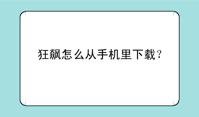 狂飙怎么从手机里下载？