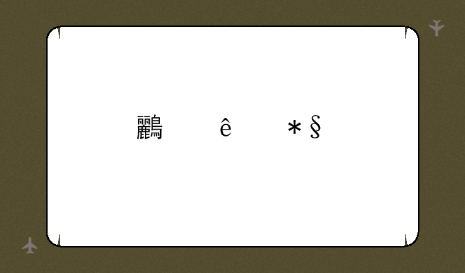鸟人助手如何上两个号？