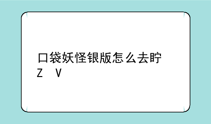 口袋妖怪银版怎么去真新镇
