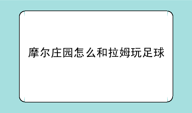 摩尔庄园怎么和拉姆玩足球
