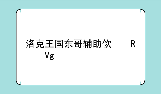 洛克王国东哥辅助使用教程
