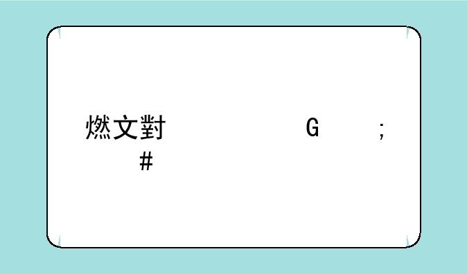 燃文小说网怎么打不开啦？