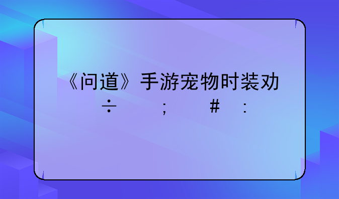 《问道》手游宠物时装功能怎么玩