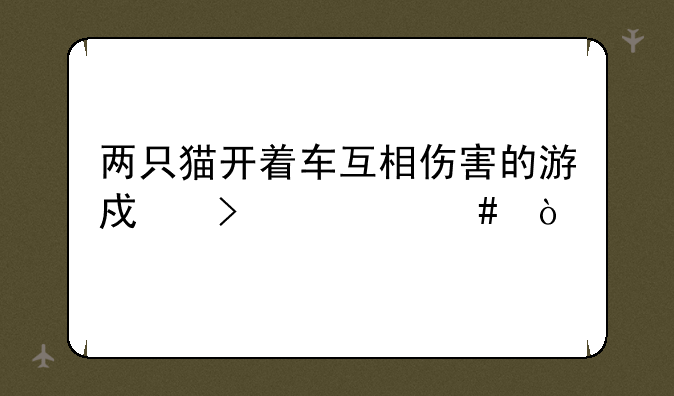 两只猫开着车互相伤害的游戏叫什么？