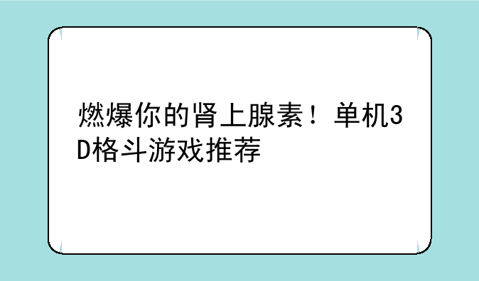燃爆你的肾上腺素！单机3D格斗游戏推荐