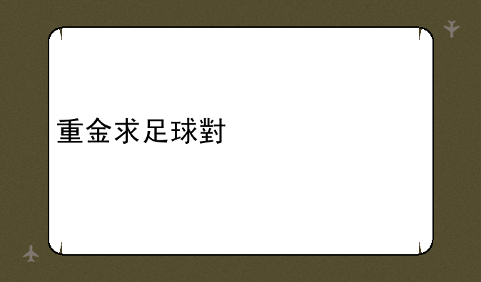 重金求足球小将2002版全部字幕（1-52集）