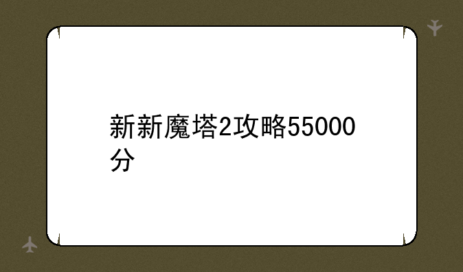 新新魔塔2攻略55000分
