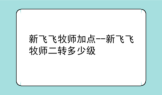 新飞飞牧师加点--新飞飞牧师二转多少级