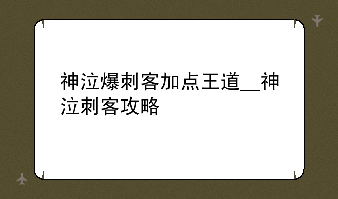 神泣爆刺客加点王道__神泣刺客攻略