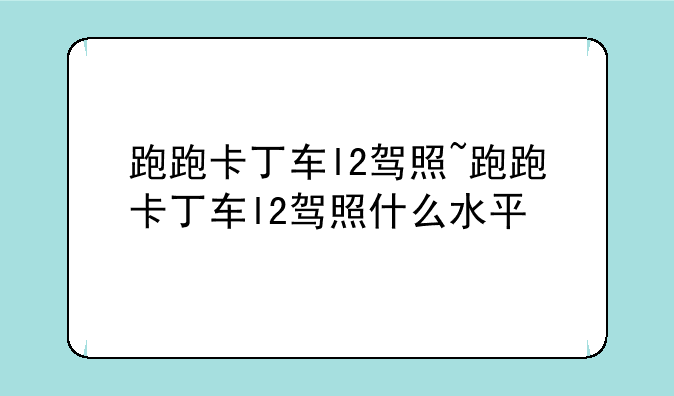 跑跑卡丁车l2驾照~跑跑卡丁车l2驾照什么水平
