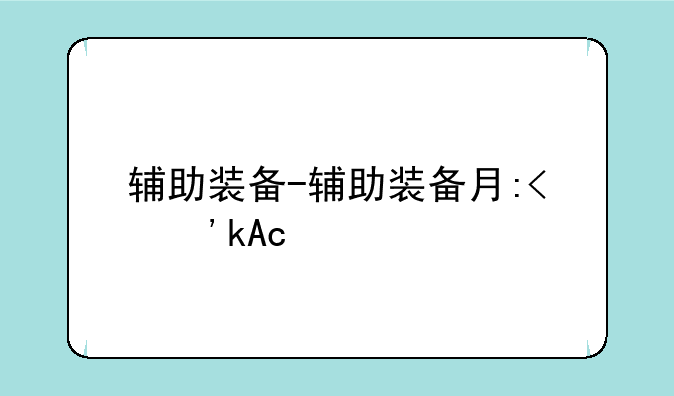 辅助装备-辅助装备有哪些