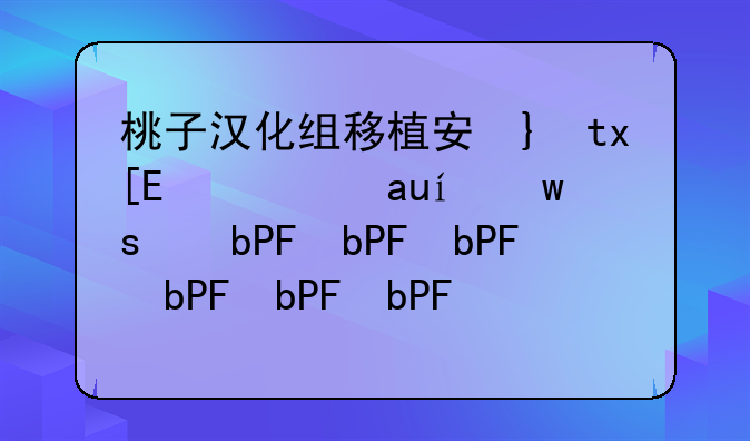 桃子汉化组移植安卓rpg;桃子组内部攻略