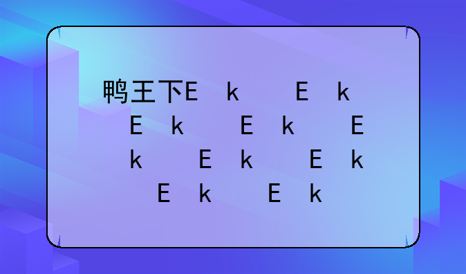鸭王下载—鸭王下载mp4