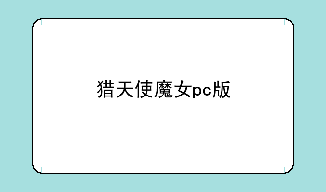 猎天使魔女pc版