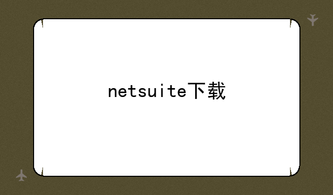 netsuite下载